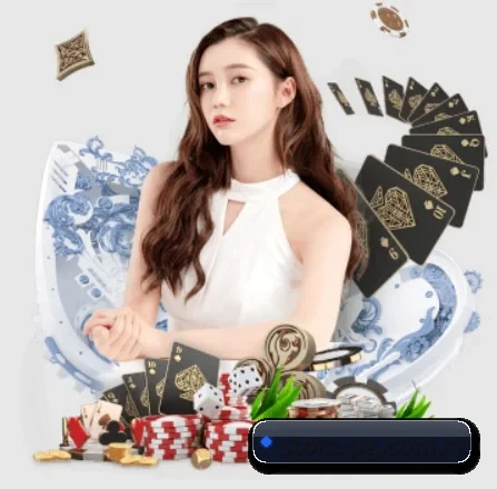 公司成立 - 品牌成立元年,获得欧洲权威机构认证,正式开始全球化运营。(PG)